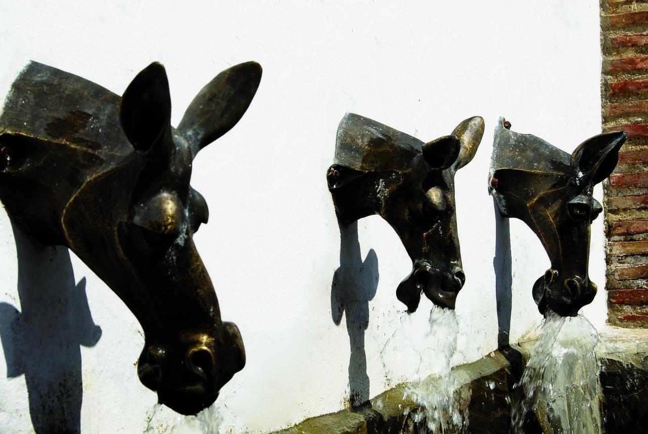 Villa La Roca - A Fusion Of Modern And Typical Andalucian Architecture Montecorto Bagian luar foto